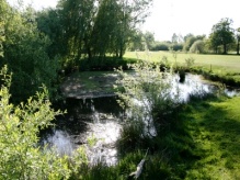 Great Crested Newt Survey site in Cheshunt, Hertfordshire