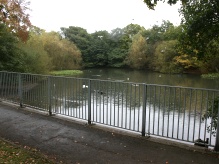 Walkover Survey, HSI Assessment for Great Crested Newts and Desk Study site in Cockfosters, London