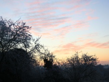 Phase I Survey and Bat Activity Survey site in Crudwell, Wiltshire