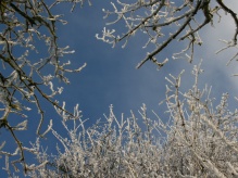 Frosty sky